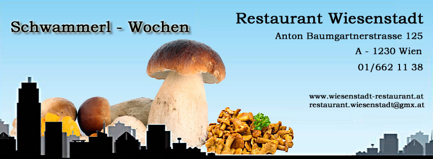 schwammerlzeit